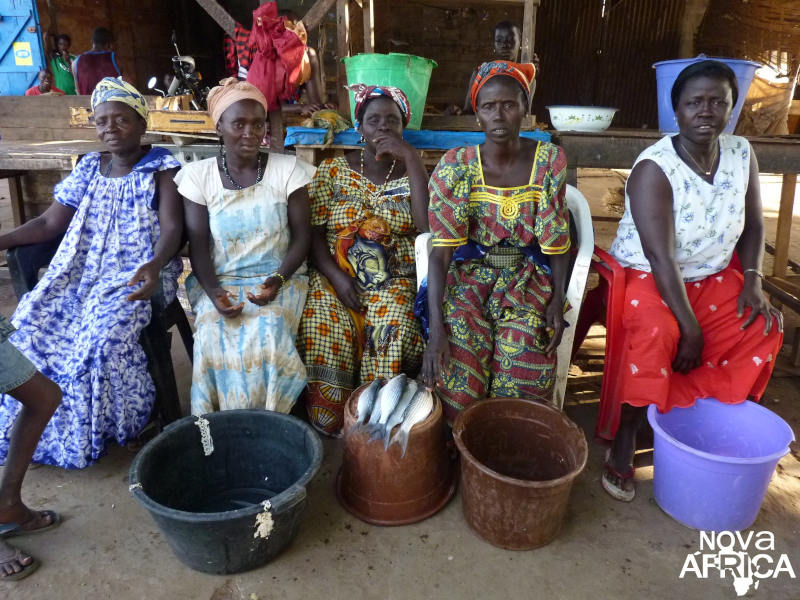 As mulheres bideiras da Guiné-Bissau foram destaque no programa Nova África. | Foto: Conceição Oliveira